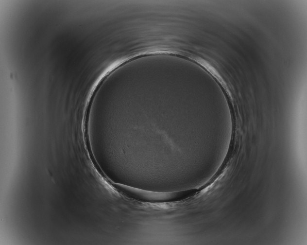 X0000086761197200704201739