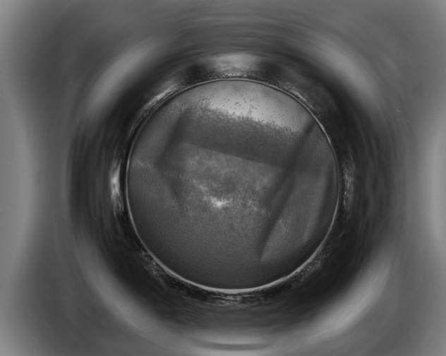 X0000086761198200704201739