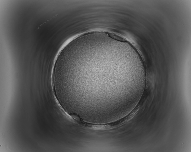 X0000086761199200704201739