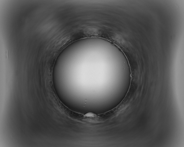 X0000086761201200704201738