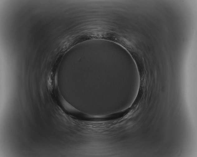 X0000086761202200704201738