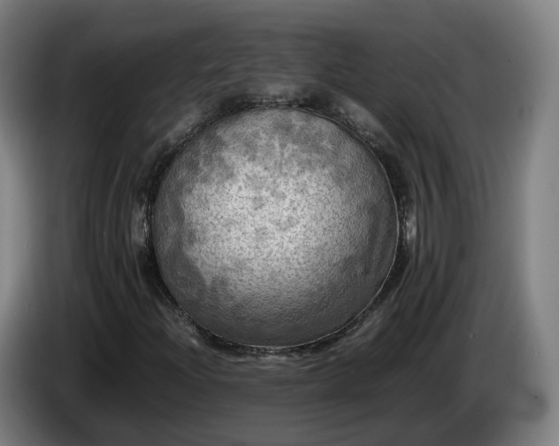 X0000086761204200704201738