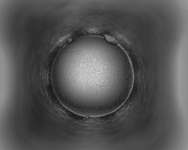 X0000086761205200704201738