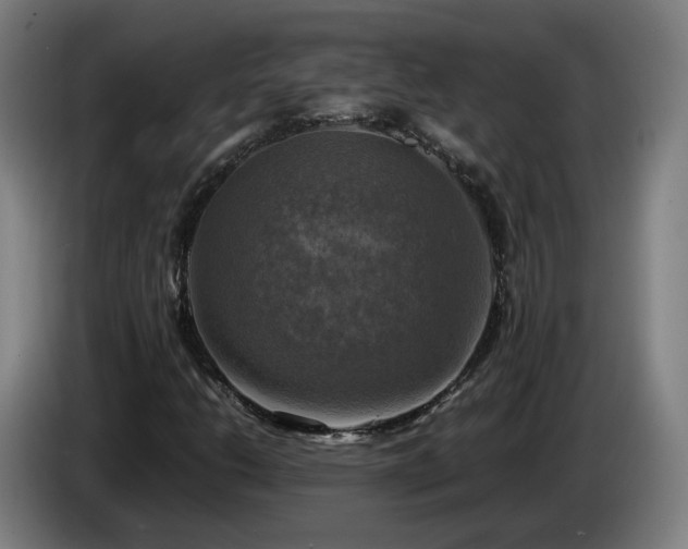 X0000086761206200704201738