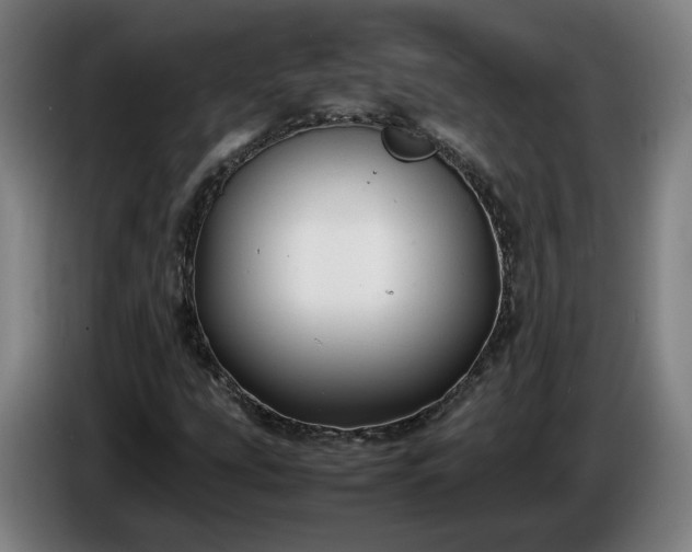 X0000086761207200704201738