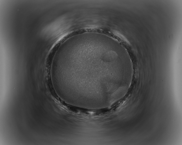 X0000086761208200704201738