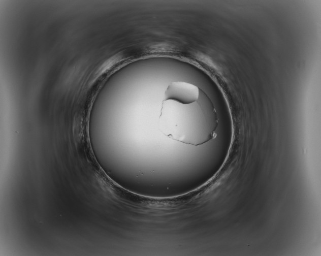 X0000086761211200704201738