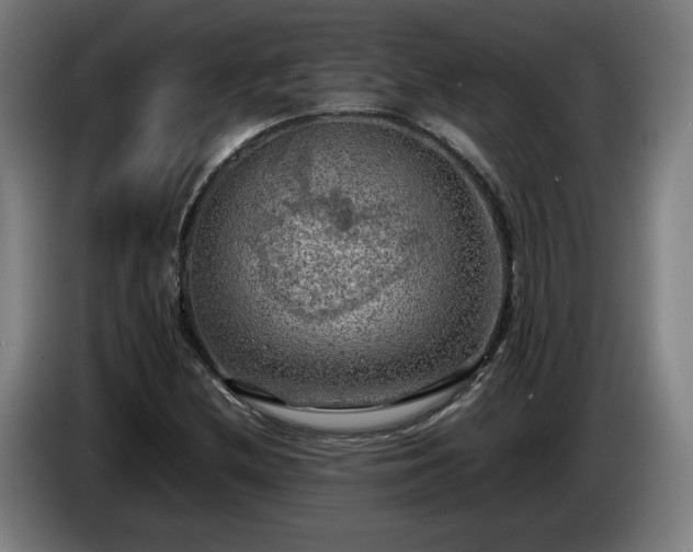 X0000086761212200704201738
