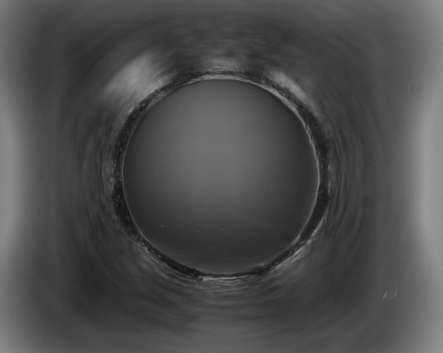X0000086761213200704201738