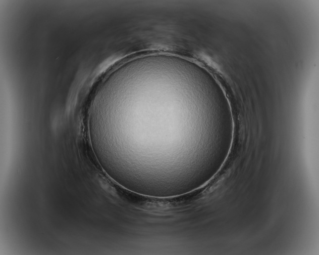 X0000086761215200704201738