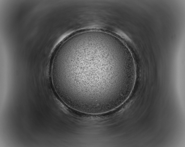 X0000086761216200704201738