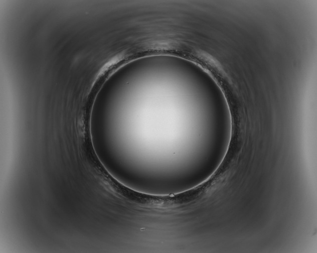 X0000086761218200704201738