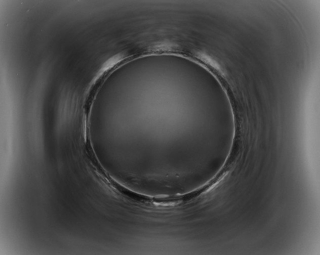 X0000086761219200704201738