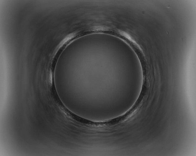 X0000086761221200704201738