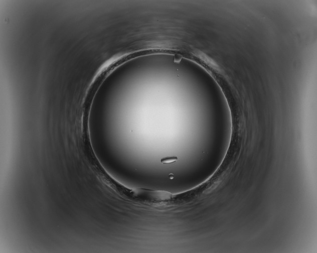 X0000086761222200704201738