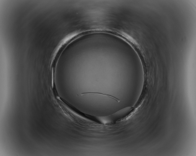 X0000086761223200704201738
