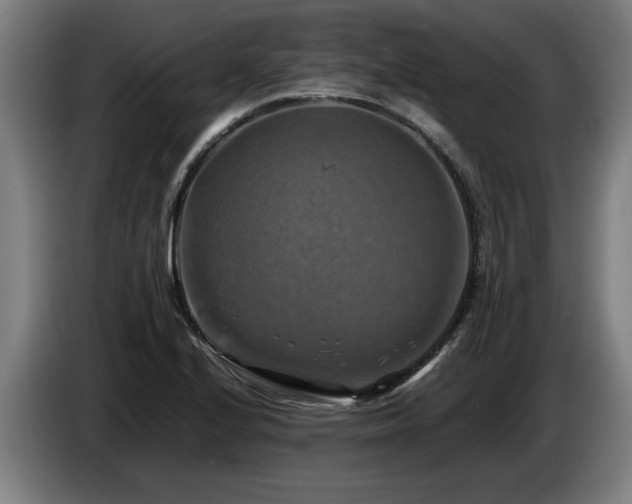 X0000086761224200704201739