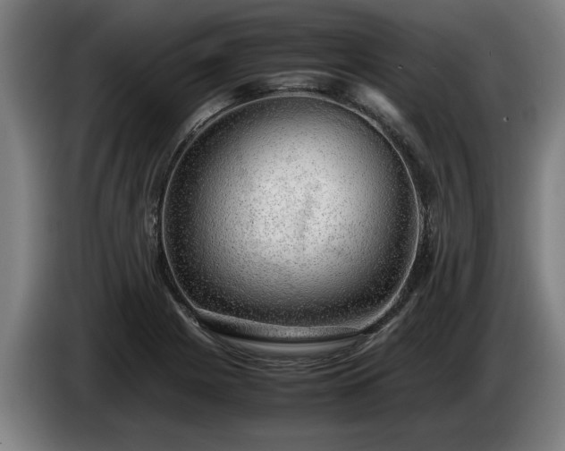 X0000086761225200704201739