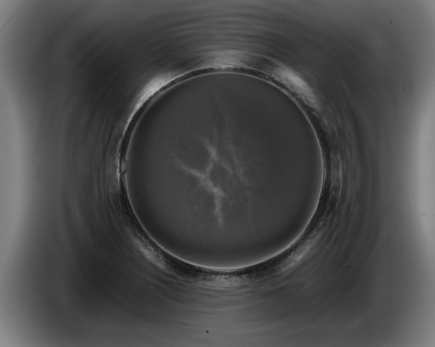 X0000086761226200704201739