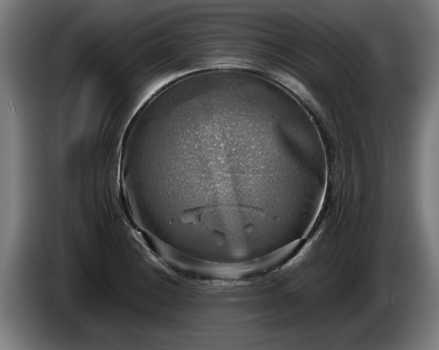 X0000086761228200704201739