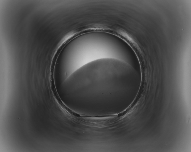 X0000086761229200704201739