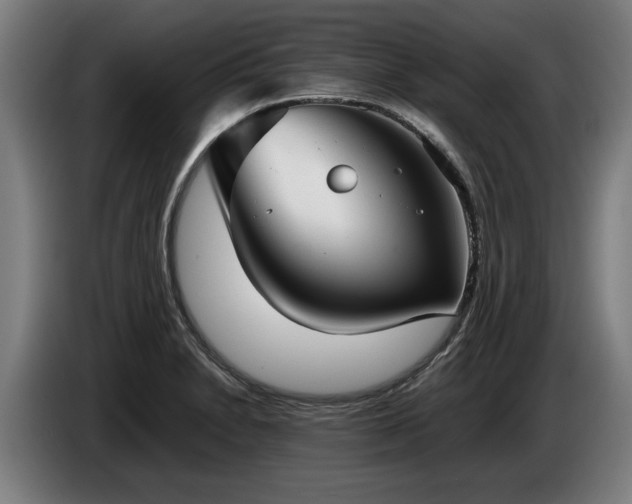 X0000086761230200704201739