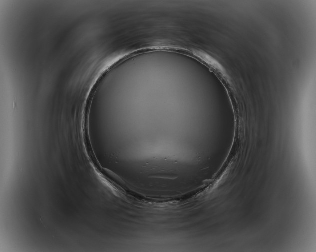 X0000086761231200704201739