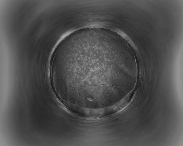 X0000086761232200704201739