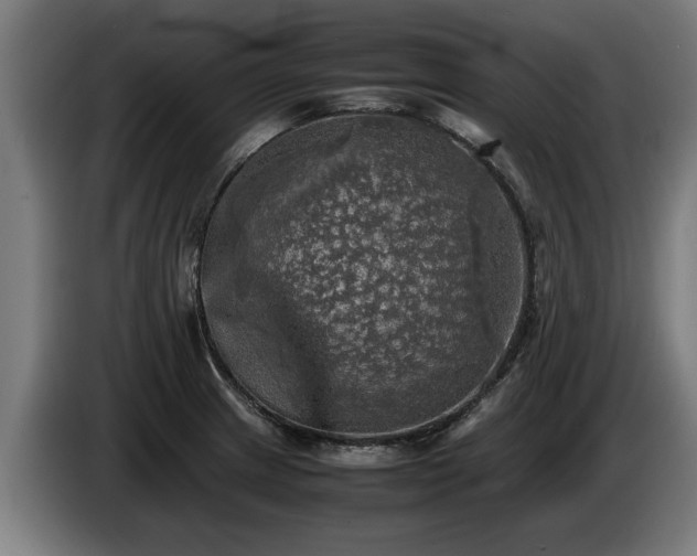 X0000086761233200704201739