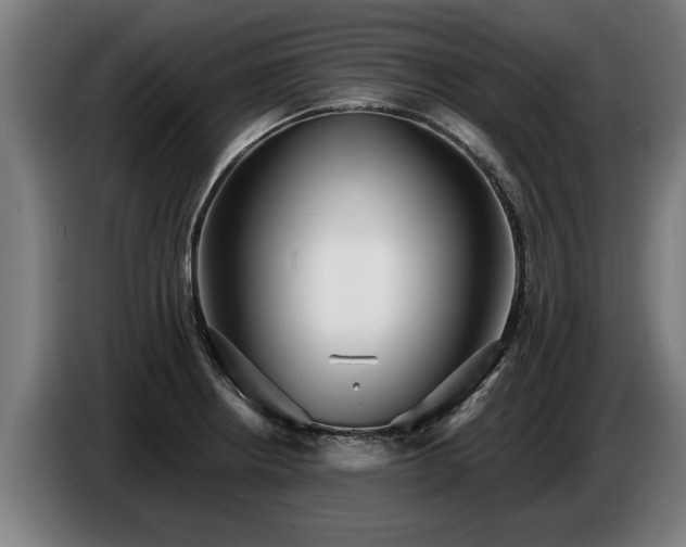 X0000086761234200704201739