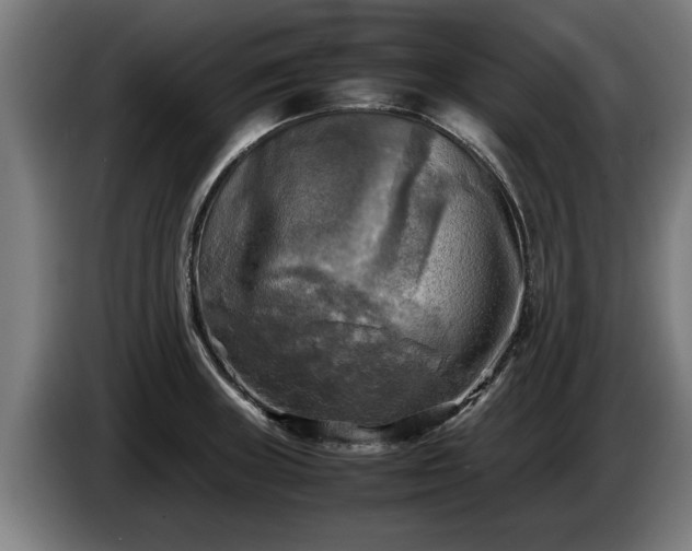 X0000086761235200704201739