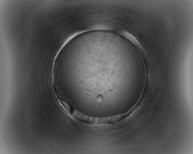 X0000086761236200704201739