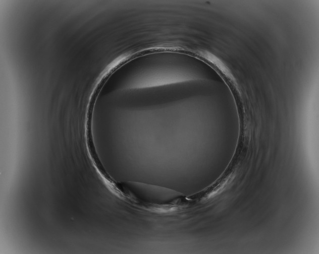 X0000086761237200704201739