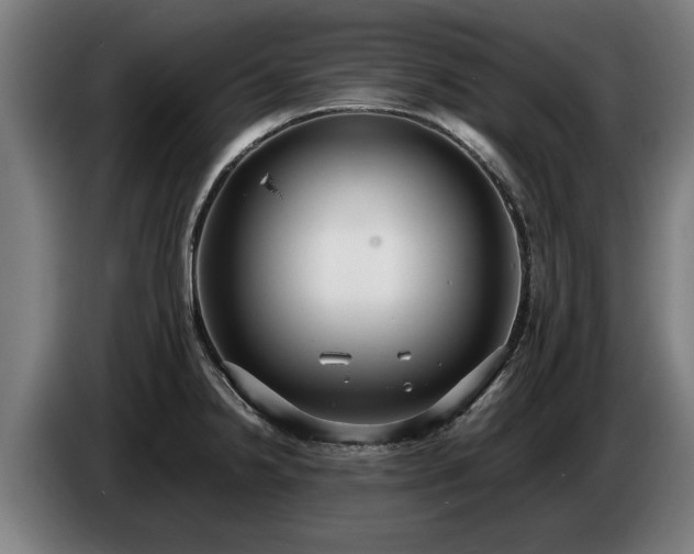 X0000086761238200704201739