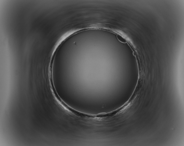 X0000086761239200704201739