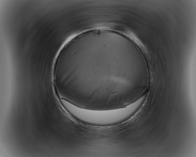 X0000086761240200704201739