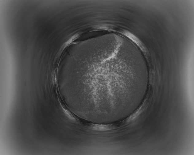X0000086761241200704201739