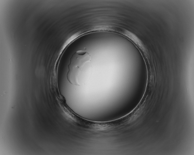 X0000086761242200704201739