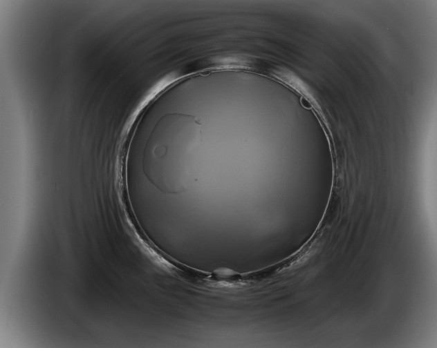 X0000086761243200704201739