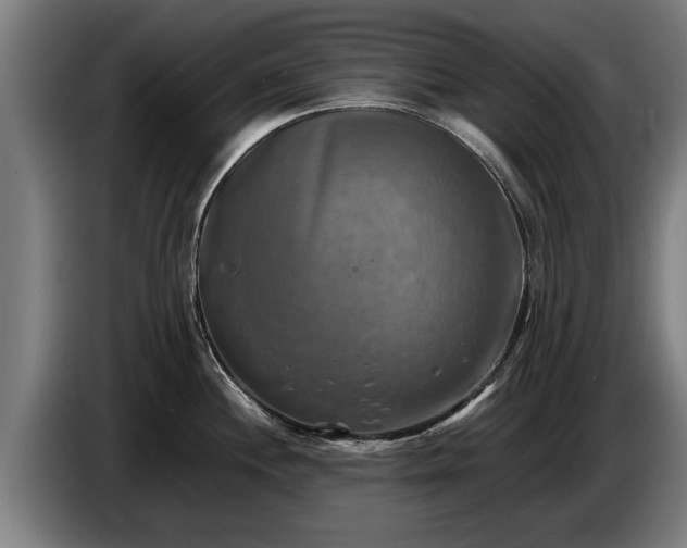 X0000086761244200704201739