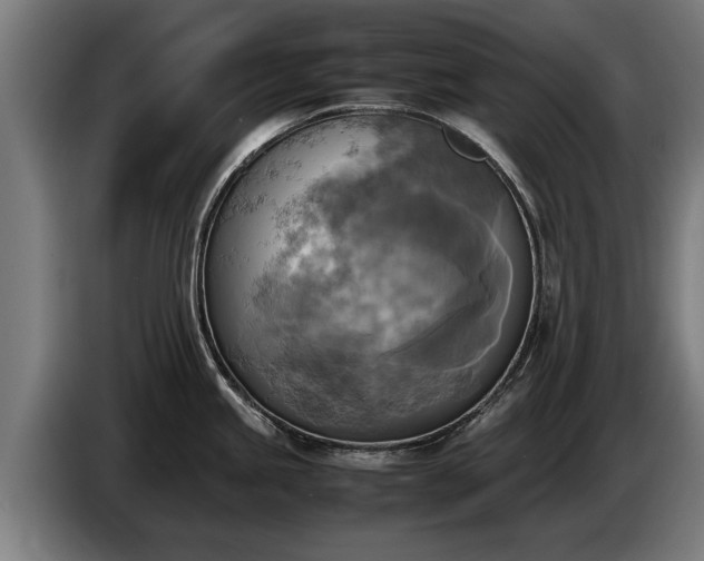 X0000086761245200704201739