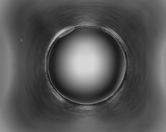 X0000086761246200704201739