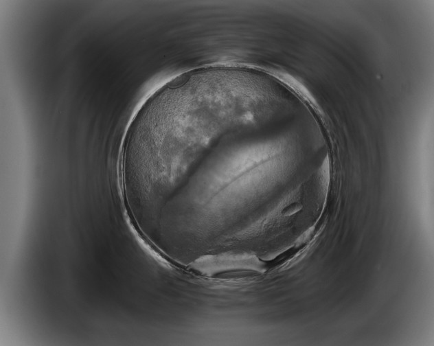 X0000086761247200704201739