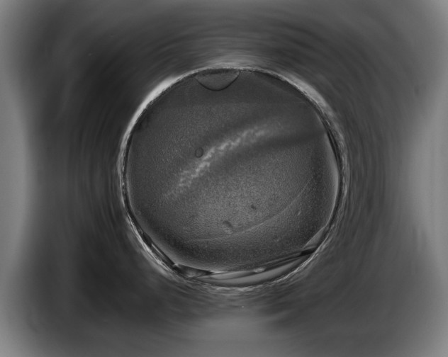 X0000086761248200704201739