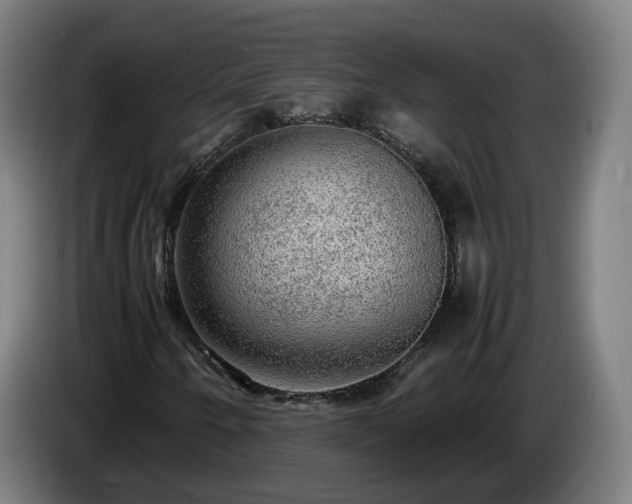 X0000086761250200704201738