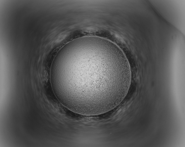 X0000086761253200704201738