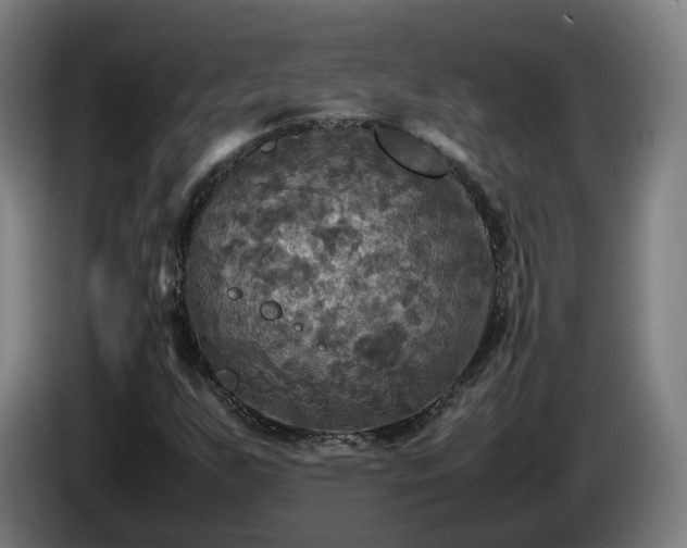 X0000086761255200704201738