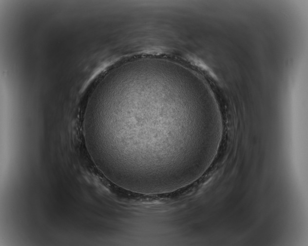X0000086761256200704201738