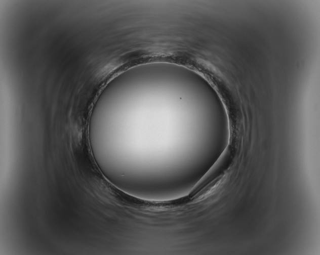 X0000086761257200704201738