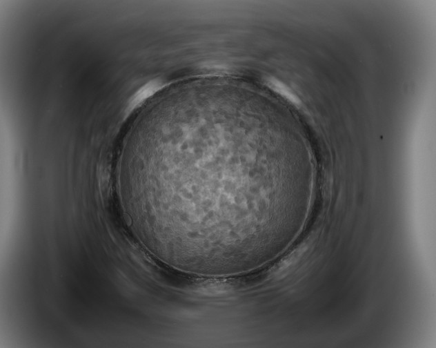 X0000086761259200704201738